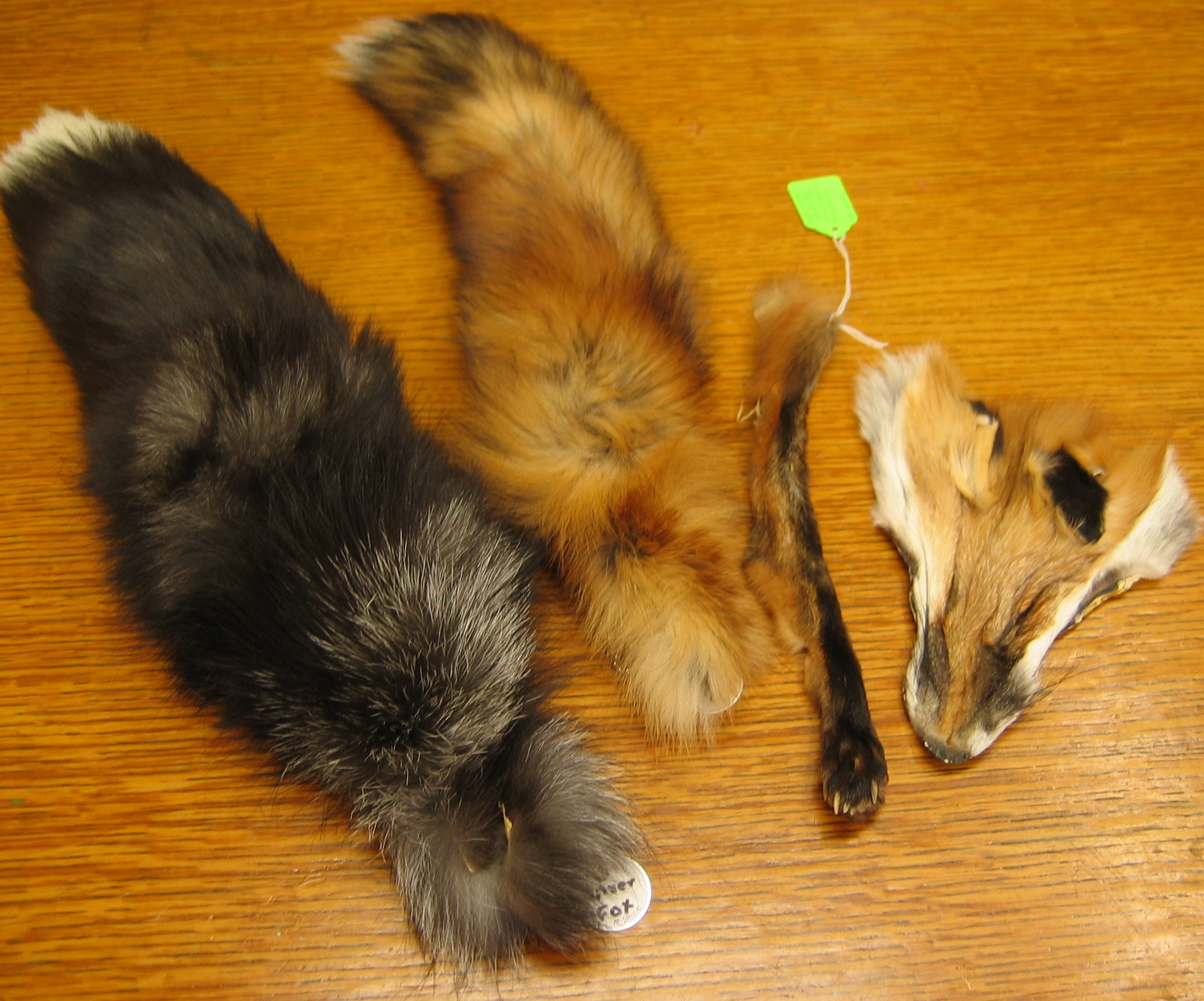Tail Silver Fox, Tail Red Fox, leg of Red Fox, Mask of Red Fox.