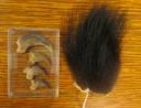 Black bear claws and fur sample.