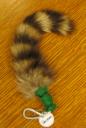Racoon Tail